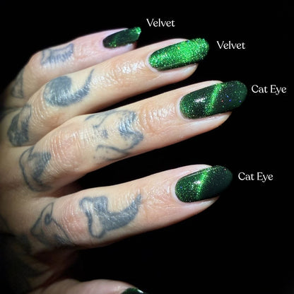 Wicked Intentions