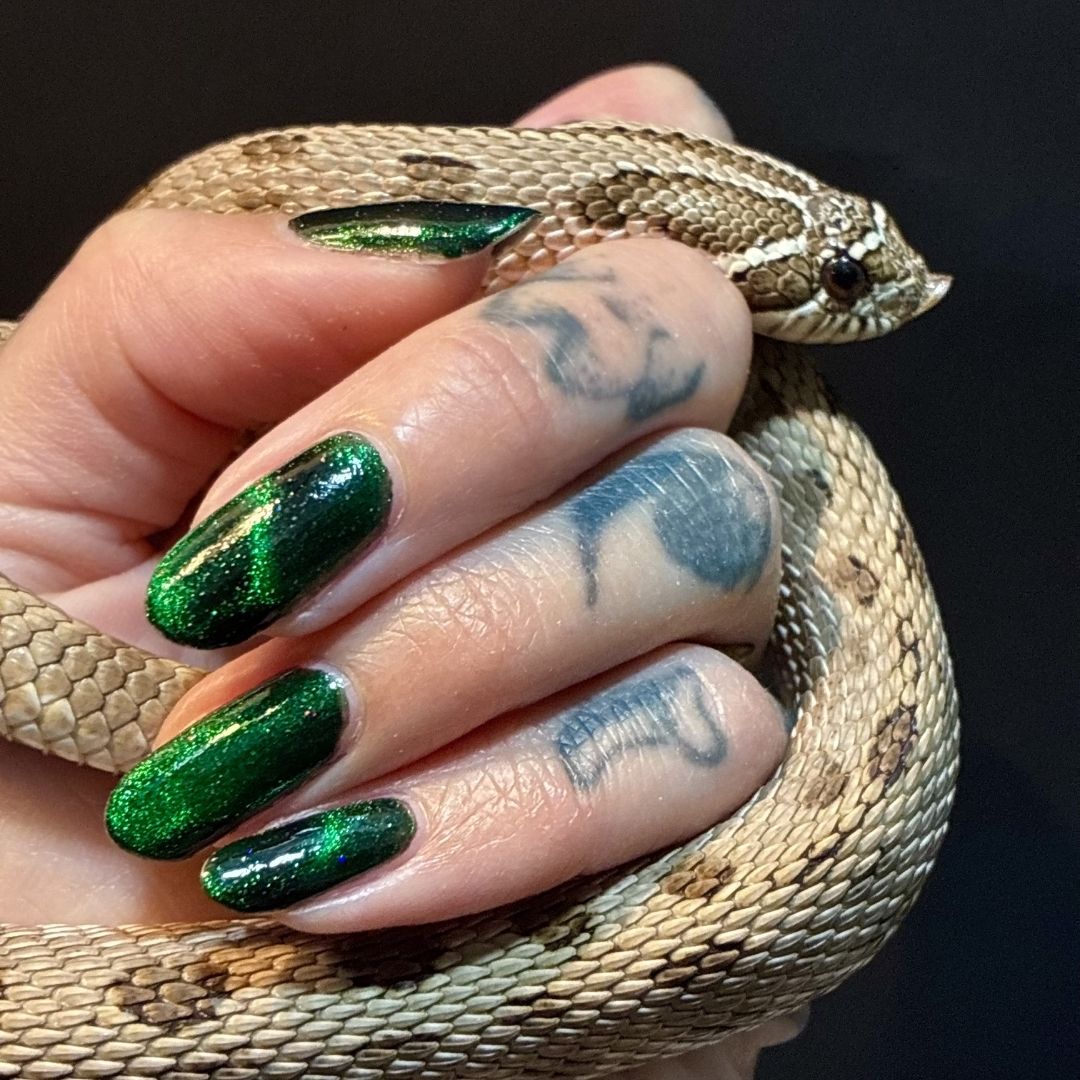 Wicked Intentions