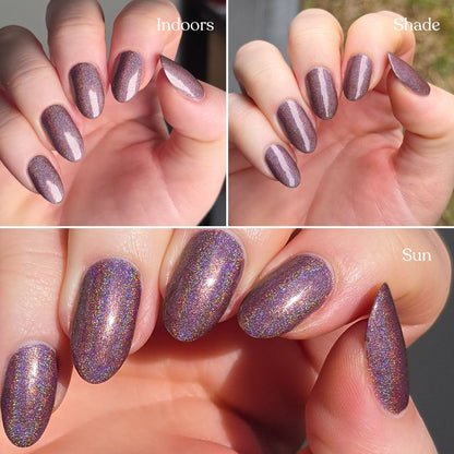 Next Taupe Model
