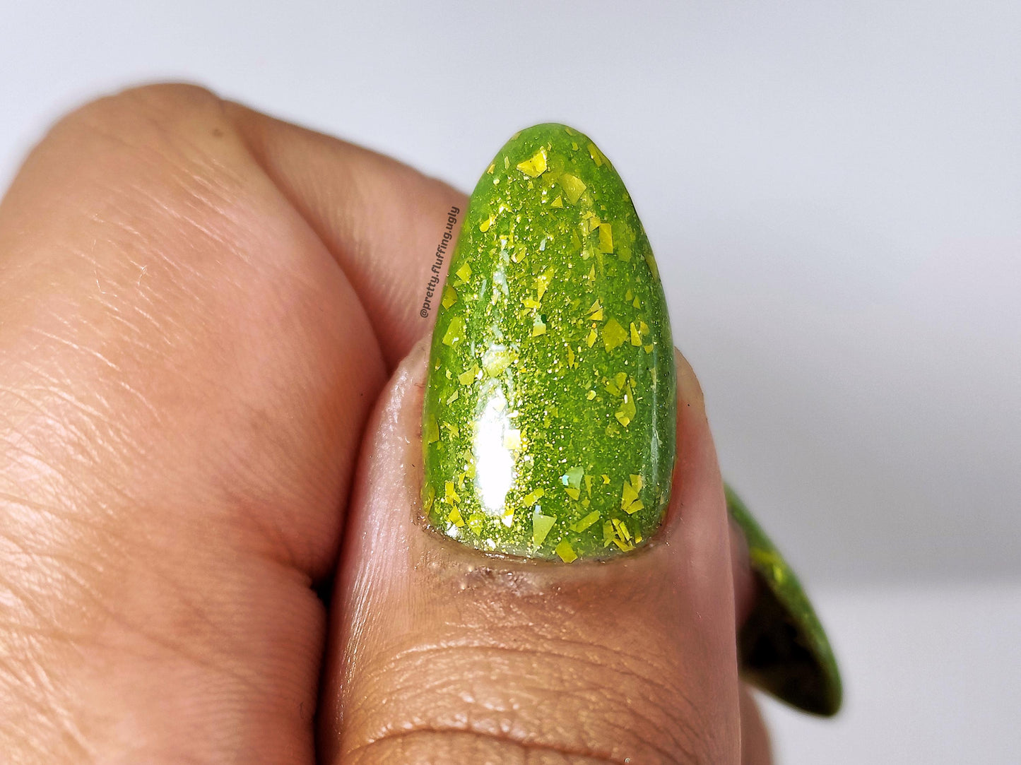 Money Grows On Trees