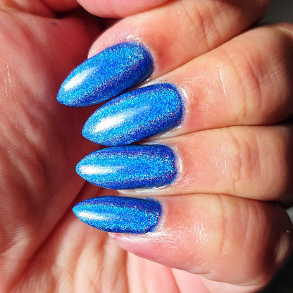 Midnight Sequins