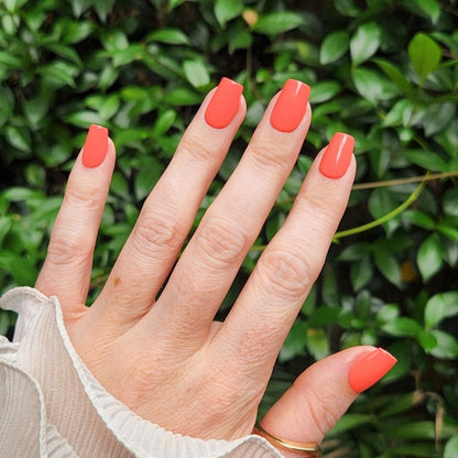 Coral Pop