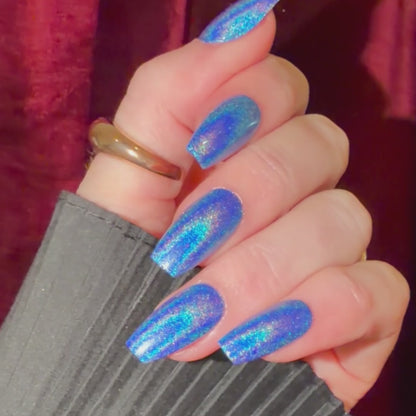 Midnight Sequins
