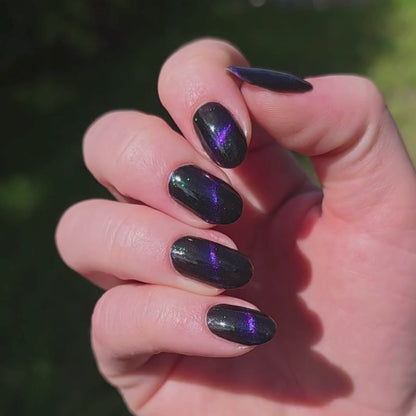 Fairest of Them All